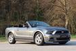 Ford Mustang Cabrio 2013