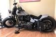 Harley-Davidson Cross Bones Custom 2009